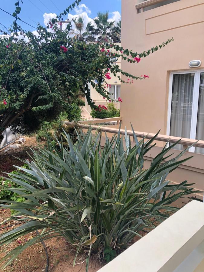Platanés Dimitris Apartments المظهر الخارجي الصورة